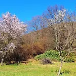 Wild Grape - Vadszolo, Romantic Vineyard House With Garden And View *