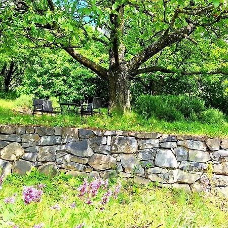 Holiday home Wild Grape - Vadszolo *