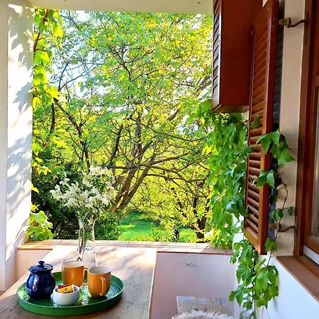 Wild Grape - Vadszolo, Romantic Vineyard House With Garden And View Holiday home Badacsonytomaj