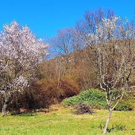 Wild Grape - Vadszolo, Romantic Vineyard House With Garden And View *