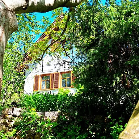 Wild Grape - Vadszolo Holiday home *