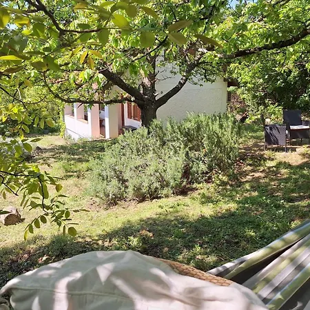 Wild Grape - Vadszolo, Romantic Vineyard House With Garden And View