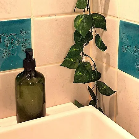 Wild Grape - Vadszolo * Bytom