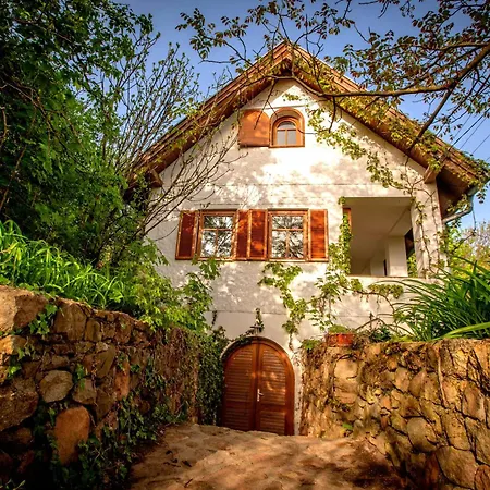 Wild Grape - Vadszolo Holiday home