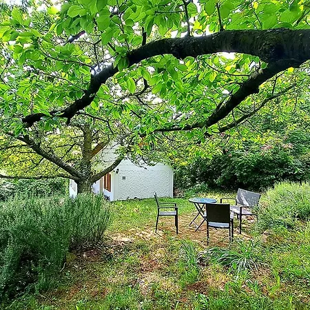 Holiday home Wild Grape - Vadszolo, Romantic Vineyard House With Garden And View Badacsonytomaj