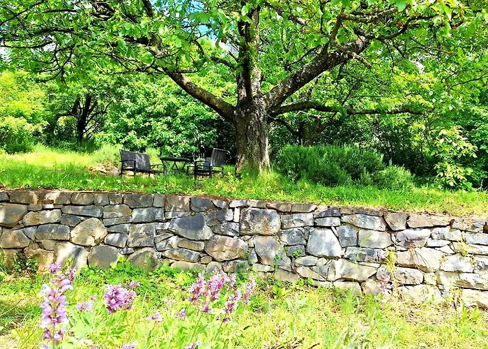 度假居 Wild Grape - Vadszolo, Romantic Vineyard House With Garden And View *