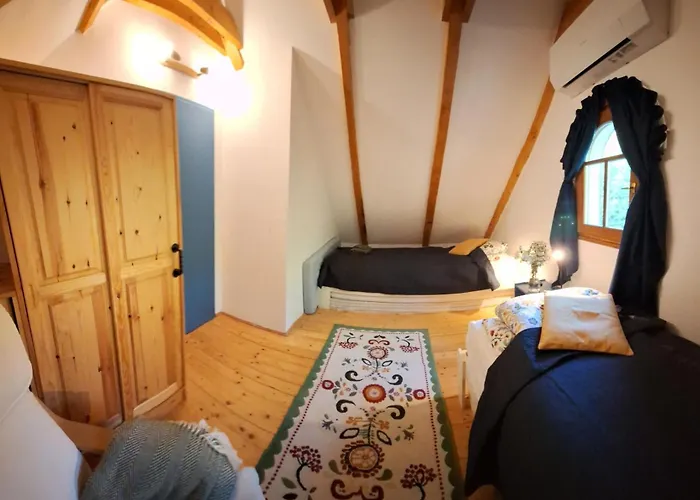 Wild Grape - Vadszolo בית נופש *