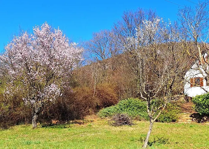 Wild Grape - Vadszolo, Romantic Vineyard House With Garden And View *