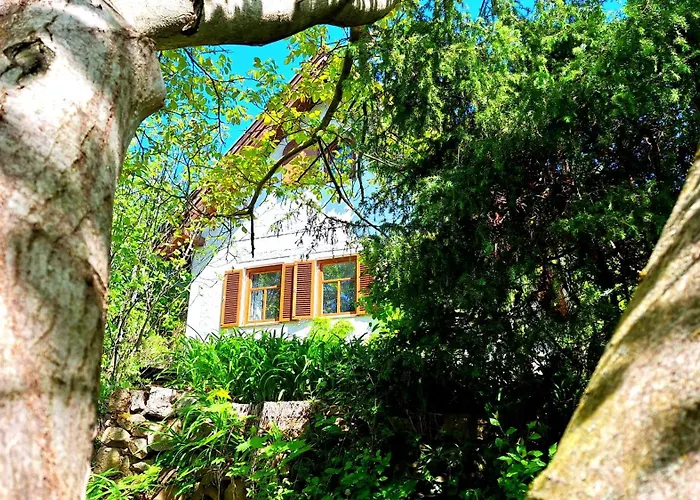Wild Grape - Vadszolo, Romantic Vineyard House With Garden And View Hébergement de vacances *