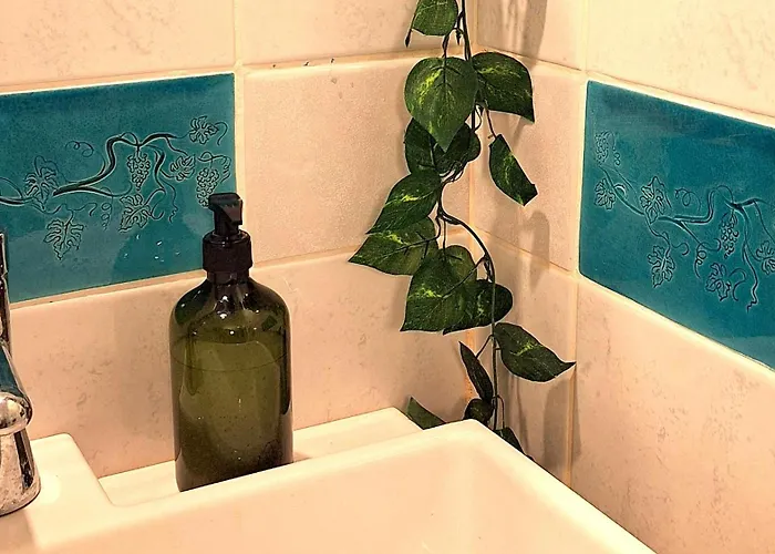 Wild Grape - Vadszolo * בדקסוניטומאי